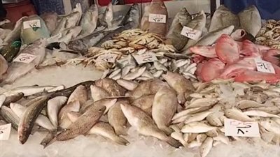 أسعار الأسماك اليوم السبت 10 مايو 2025 في الأسواق