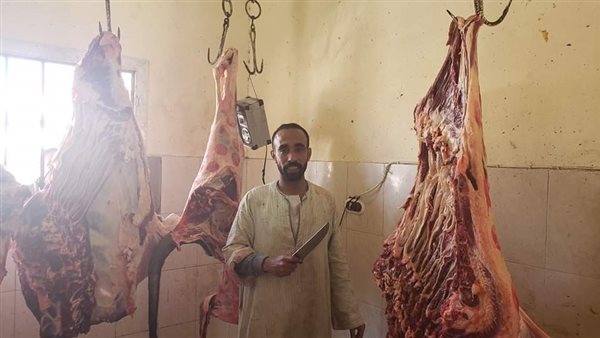 لحوم مديرية الزراعة