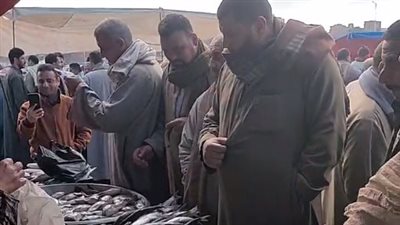 البلطي بـ90 والبوري بـ130.. إقبال على شراء الأسماك في سوق كفر الشيخ| بث مباشر 
