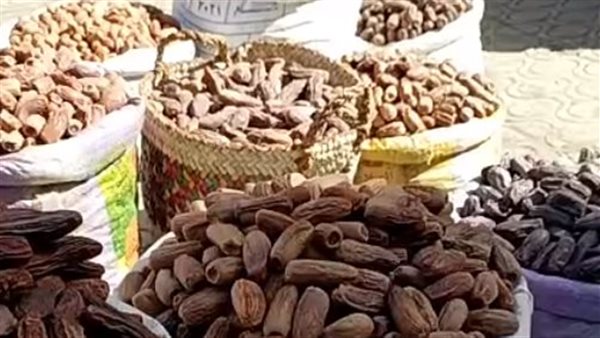 شوال بلح - أرشيفية