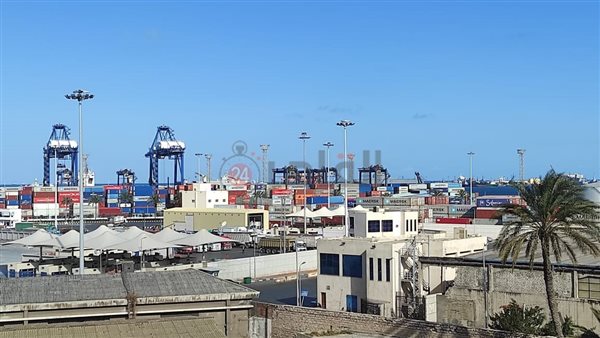 استعدادات ميناء الإسكندرية
