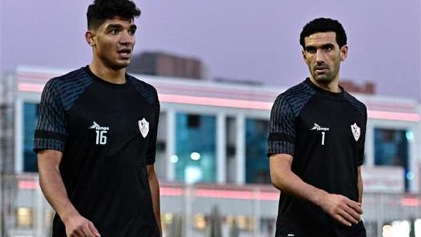 محمد صبحي ومحمد عواد