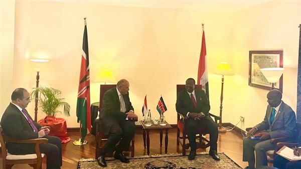 شكري ونظيره الكيني