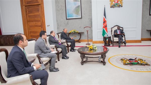 وزير الخارجية يسلم