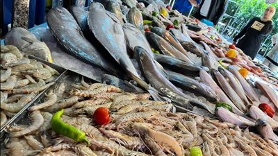 أسعار الأسماك اليوم السبت 31 مايو 2025