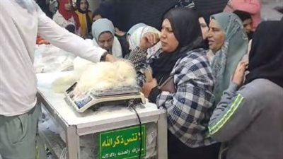 قبل رمضان.. إقبال المواطنين على شراء الكنافة والقطايف في طنطا | بث مباشر