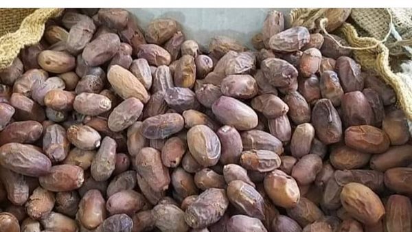 تمور- أرشيفية