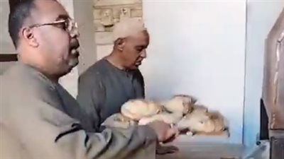 صاحب مخبز بسوهاج يوزع العيش بالمجان في رمضان على المستحقين | بث مباشر 