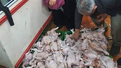 حملات مكبرة في ثاني أيام رمضان بشوارع القاهرة