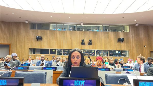 الدكتورة مايا مرسي