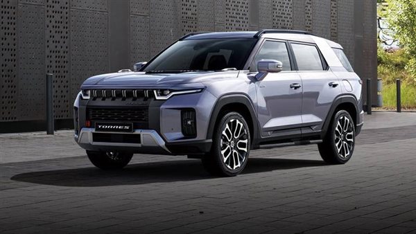 سانج يونج توريس