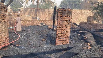  حريق كبير يلتهم مزرعة مواشي بأسوان ونفوق 30 رأس عجل | صور