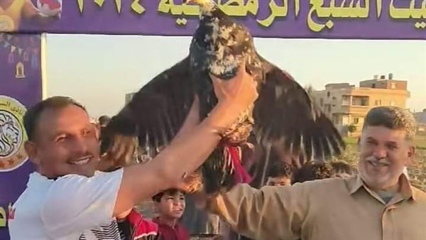 دكر بط جائرة أحسن