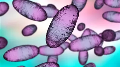 بعد مخاوف من انتشاره في الولايات المتحدة.. ما هو الطاعون مرض الموت الأسود؟