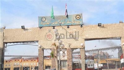 مصدر ينفي توقف خط إنتاج السكر للمرة الثانية بمصنع أبو قرقاص بالمنيا 