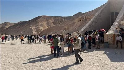 جدل في وادي الملوك بالأقصر| مواطن يطالب بإنشاء مكتبة داخل المنطقة.. والأعلى للآثار يحسم الأمر | مستند