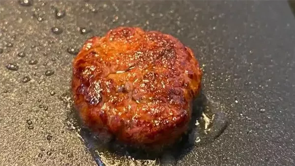 باحثون يحولون العفن