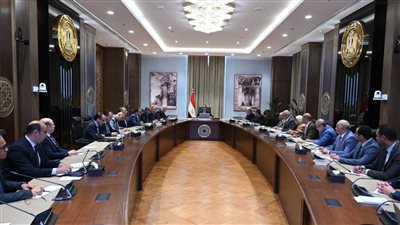 رئيس الوزراء يتابع الموقف التنفيذي لمشروعات تنمية سيناء