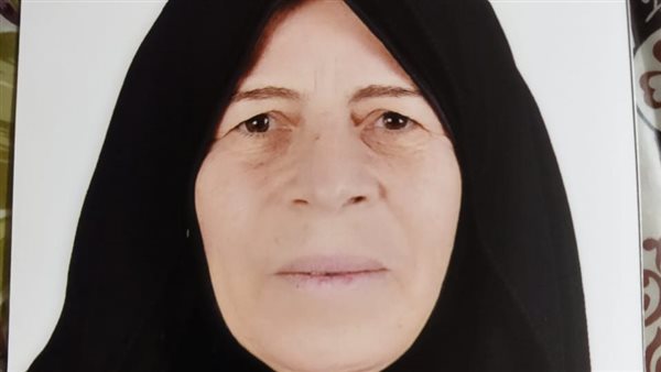 الأم المثالية