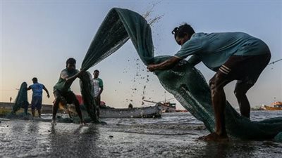 حكم الصيد أثناء الصيام في نهار رمضان.. مكروه في حالة واحدة