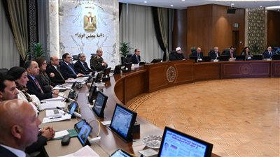 الحكومة تكشف حقيقة انتشار فيروس جديد في مصر 