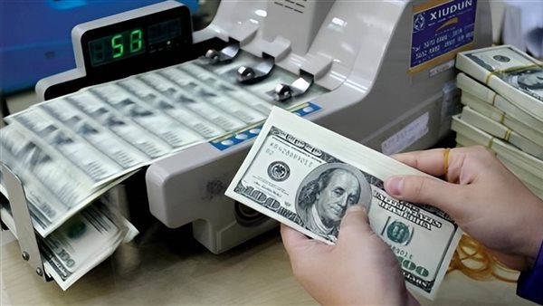 شركات الصرافة 