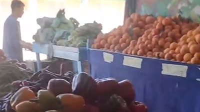 الطماطم بـ 5 جنيهات والكندوز بـ 380.. تعرف على أسعار الخضراوات واللحوم داخل الأسواق بجنوب سيناء| بث مباشر 