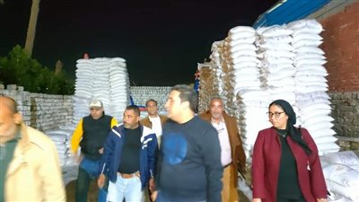 ضبط 100 طن ملح غير صالح للاستهلاك الآدمي بمخزنين في القليوبية 