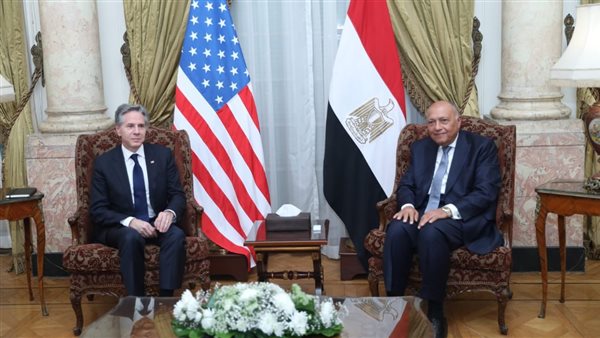 وزيرا خارجية مصر