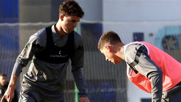 مران نيوزيلندا