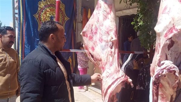 حملات تفتيشية بالمنيا