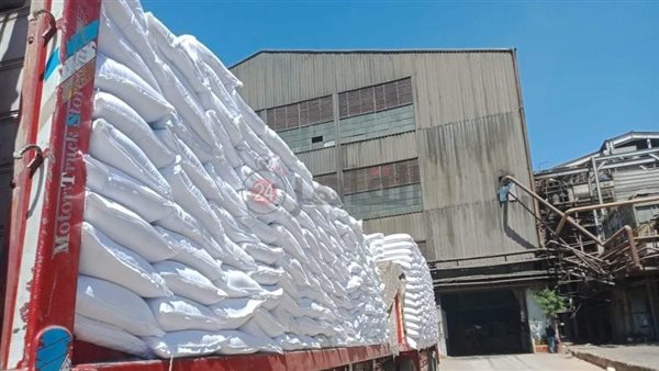 توريد محصول بنجر