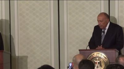 شكري: تنفيذ عملية عسكرية في رفح سيؤدي إلى خسائر كبيرة بالأرواح