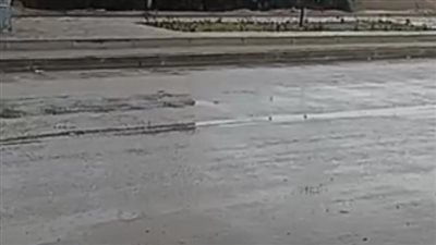 تقلبات جوية وأمطار بالمنوفية بالتزامن مع بداية الربيع 