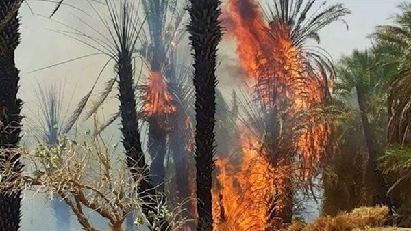 حريق ـ أرشيفية