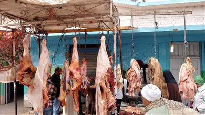 خبز ناقص وبيع مخالف.. ضبط 116 مخالفة خلال حملات رقابية على المخابز البلدية والأسواق بالمنيا