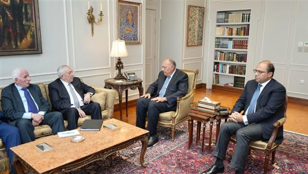 وزير الخارجية ووفد