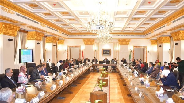 مجلس جامعة القاهرة