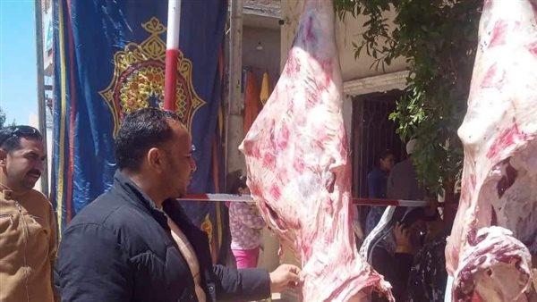 حملات تفتيشية بالمنيا