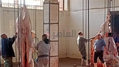 ضبط 937 كجم لحوم غير صالحة للاستهلاك الآدمي بالمنيا