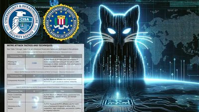 10 ملايين دولار.. الولايات المتحدة تعرض مكافأة مقابل معلومات عن القطة السوداء