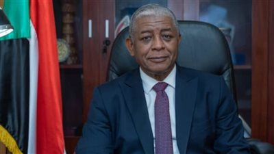 سفير السودان: ندرس فتح أفرع للجامعات السودانية في مصر
