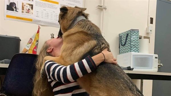  صورة تعبيرية 