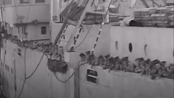 مسلسل مليحة 