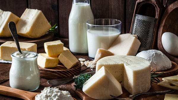 أسعار اللبان والجبنة