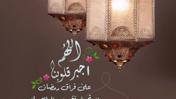 القاهرة 24