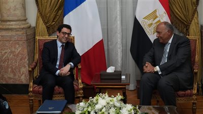 وزير الخارجية ونظيره الفرنسي يشددان على وقف إطلاق النار ووضع حد للكارثة الإنسانية في غزة