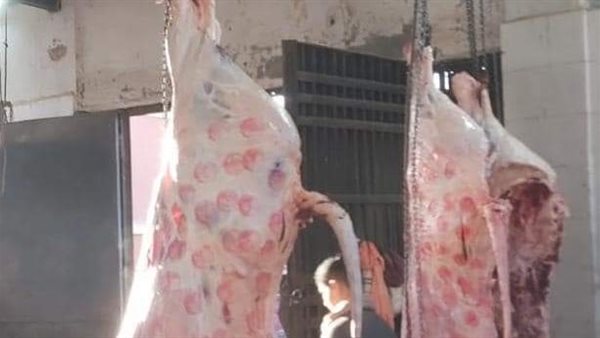 حملات تفتيشية بالمنيا