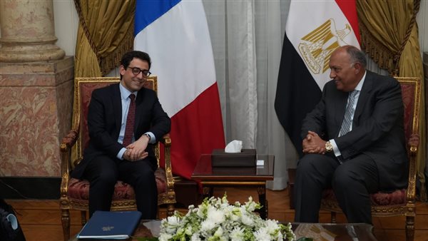 وزير الخارجية يعقد