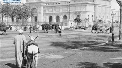 صورة نادرة للمتحف المصري بالتحرير بين العام 1905 - 1908